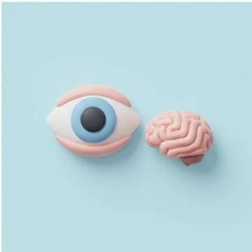 ดูใจเรา